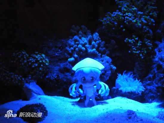 用手办模型装饰水族箱 打造宅味“海底王国” 用手办模型装饰水族箱 打造宅味“海底王国”