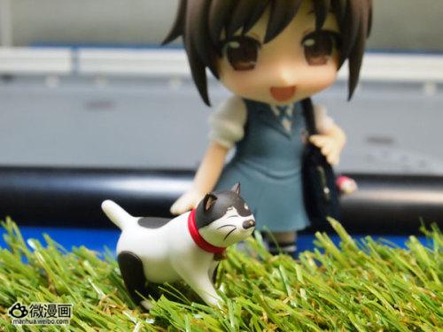 玩具周边图片2013/4/15 17:22:26-4