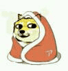 卷被doge