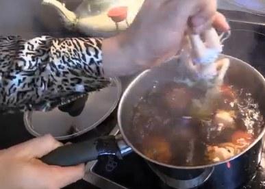 网友：侮辱宅男！土豪“蜜瓜包”狂吃μ